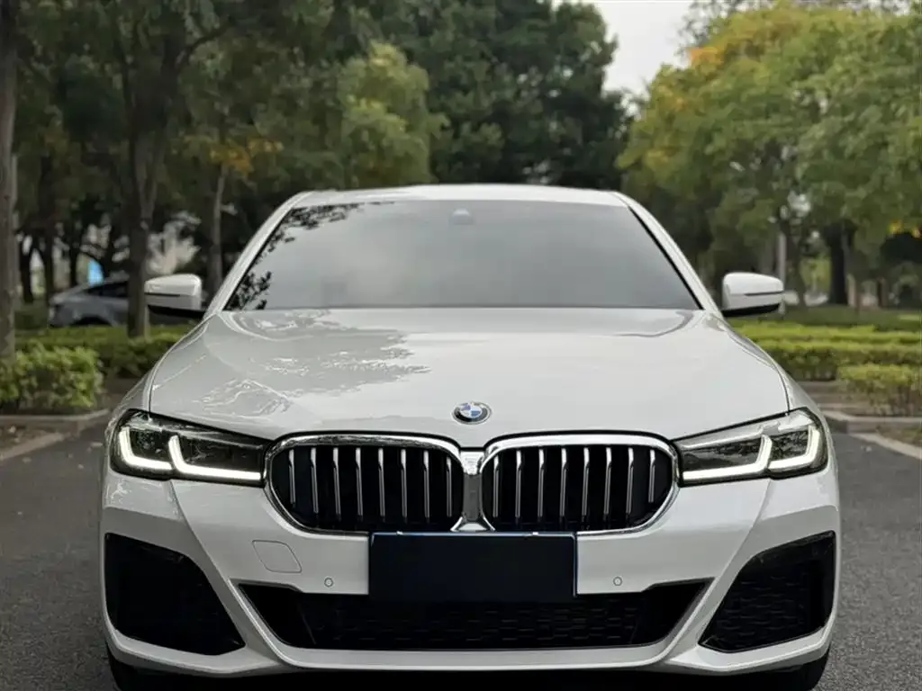 BMW 5 Series 2023 из CN, фото 3