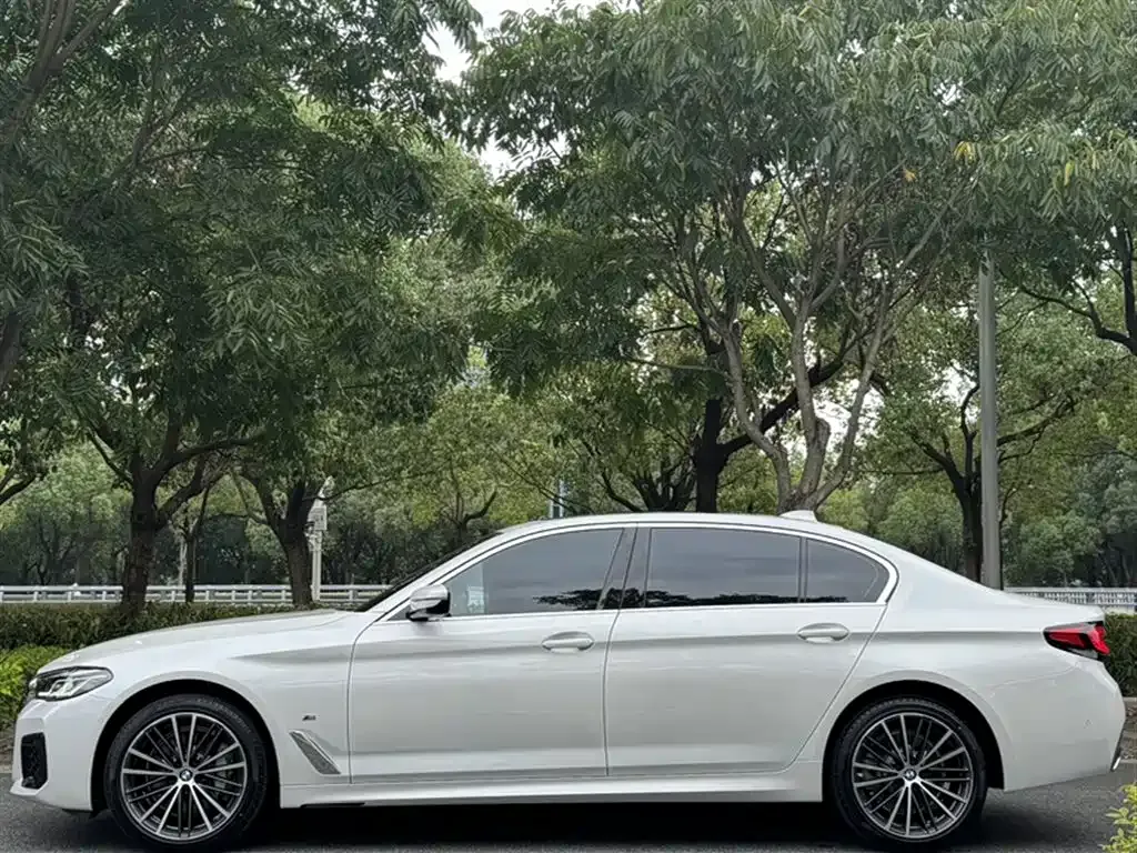 BMW 5 Series 2023 из CN, фото 4