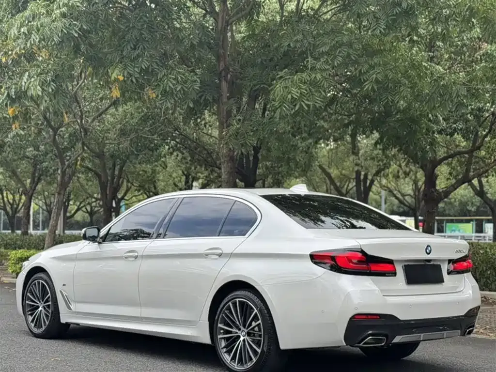BMW 5 Series 2023 из CN, фото 5