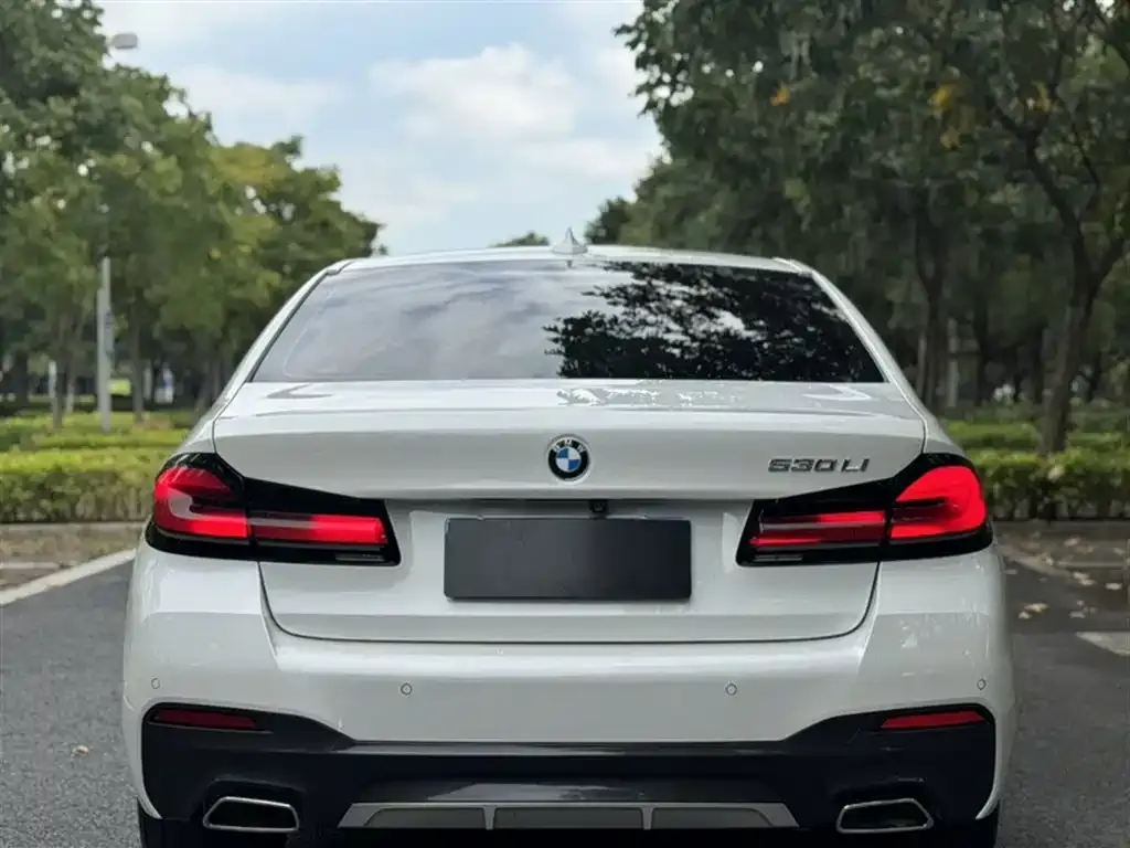 BMW 5 Series 2023 из CN, фото 6