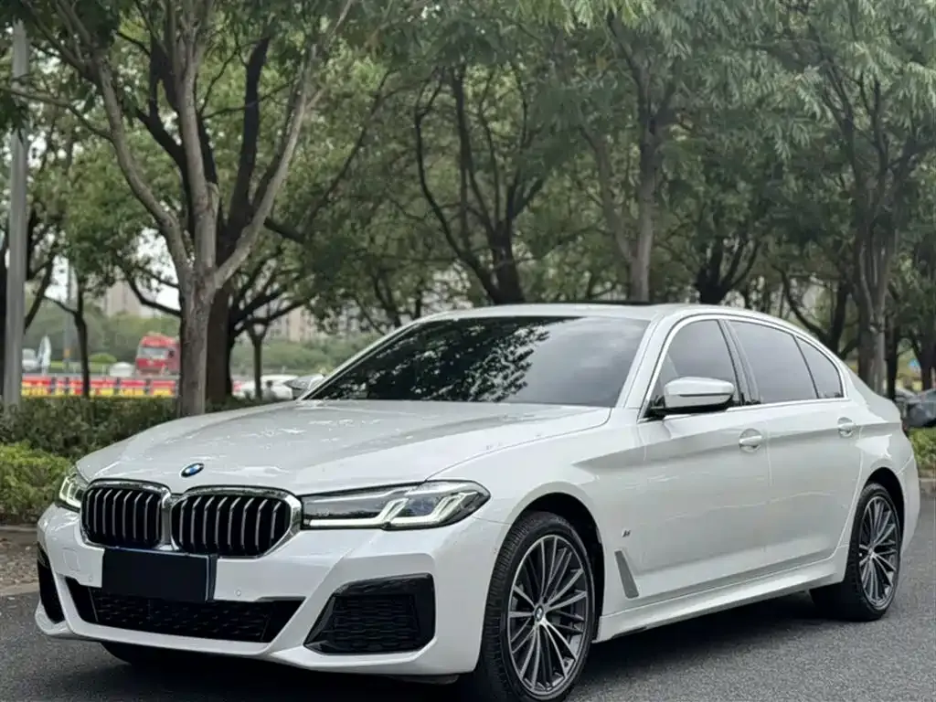 BMW 5 Series 2023 из CN, фото 7