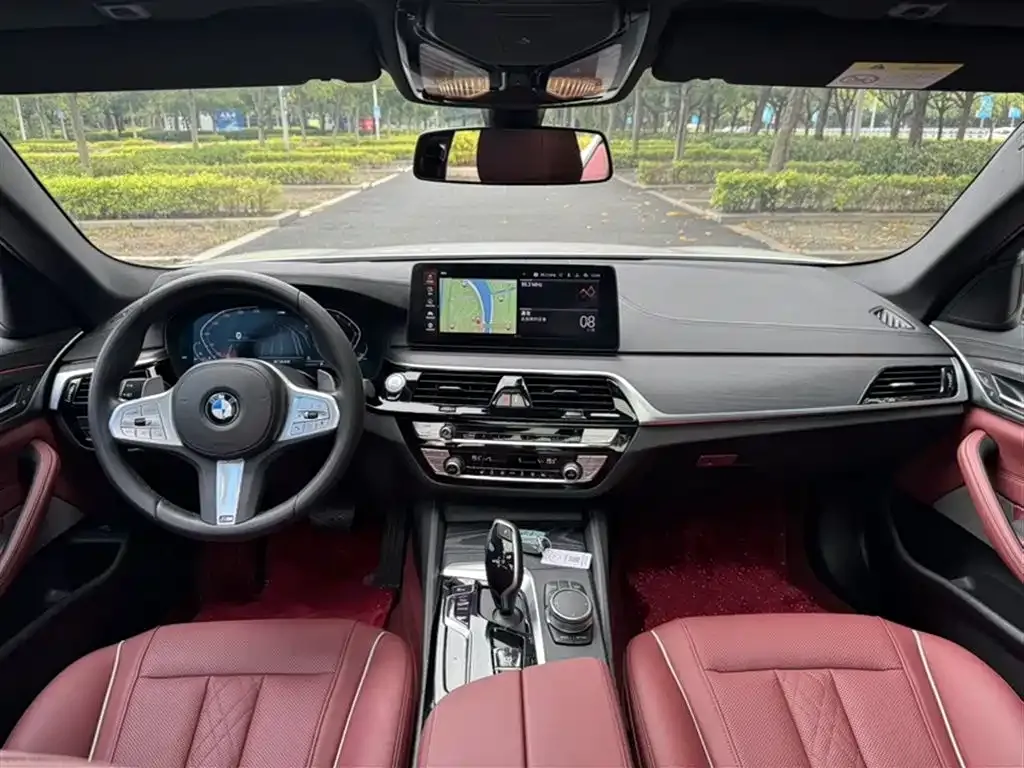 BMW 5 Series 2023 из CN, фото 8