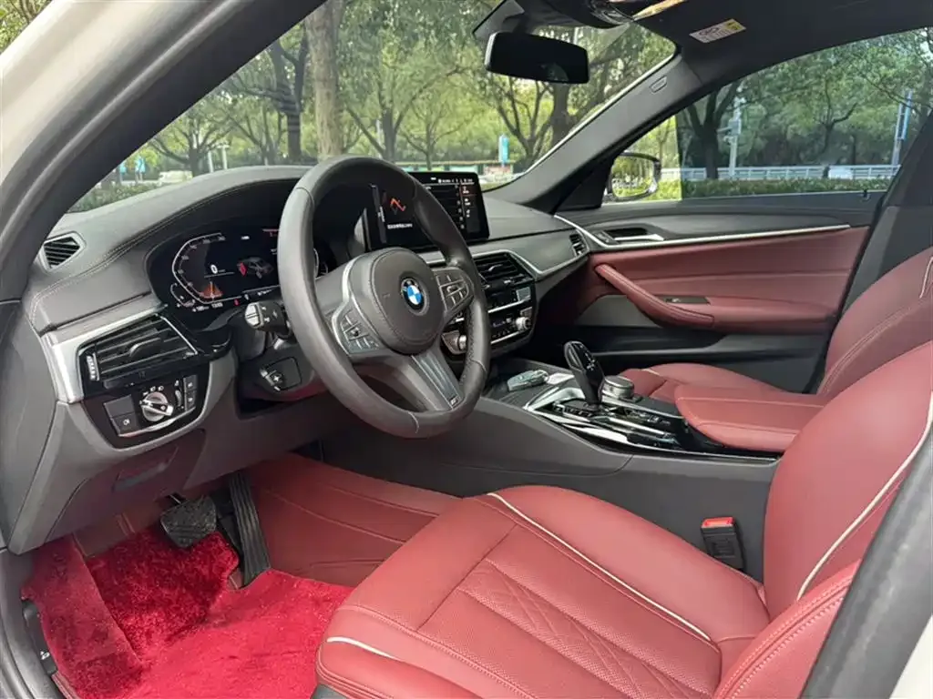 BMW 5 Series 2023 из CN, фото 9