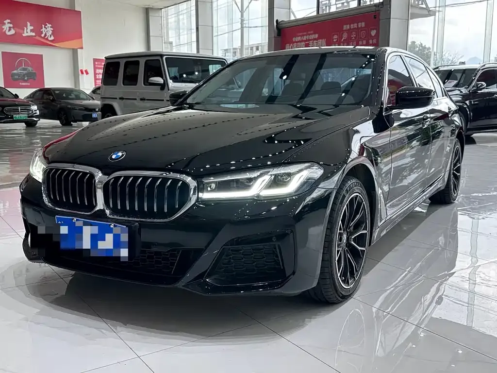 BMW 5 Series 2021 из CN, фото 1