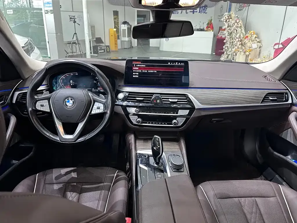 BMW 5 Series 2021 из CN, фото 6