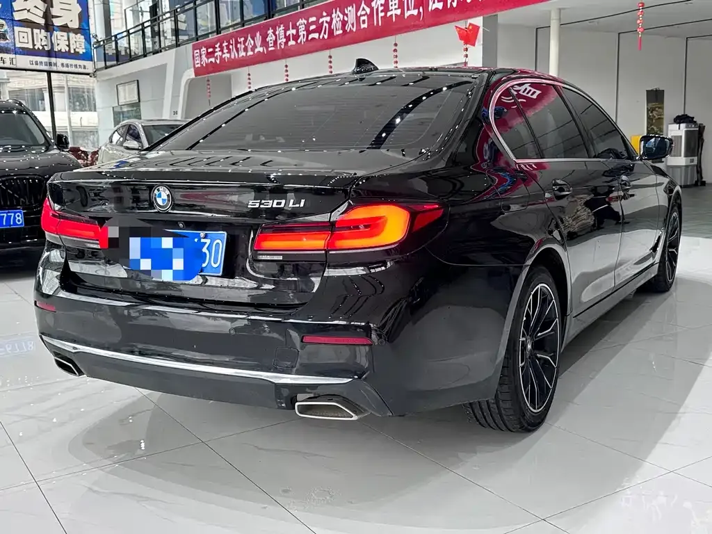 BMW 5 Series 2021 из CN, фото 7