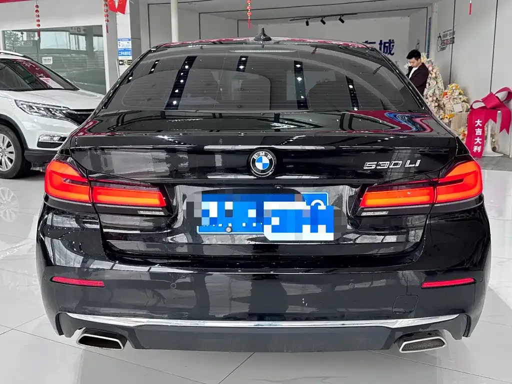 BMW 5 Series 2021 из CN, фото 8