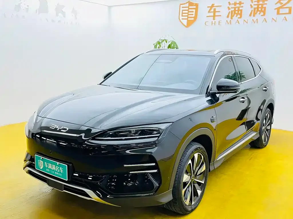 BYD PLUS New Energy 2025 из CN, фото 1