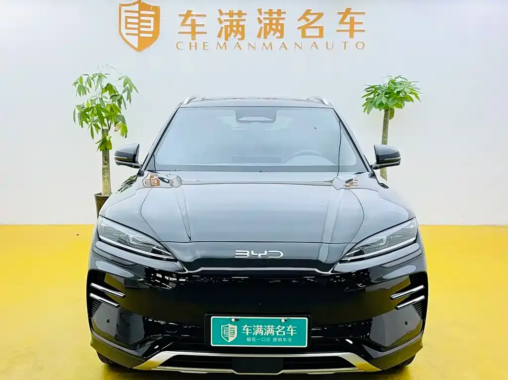 BYD PLUS New Energy 2025 из CN, фото 2