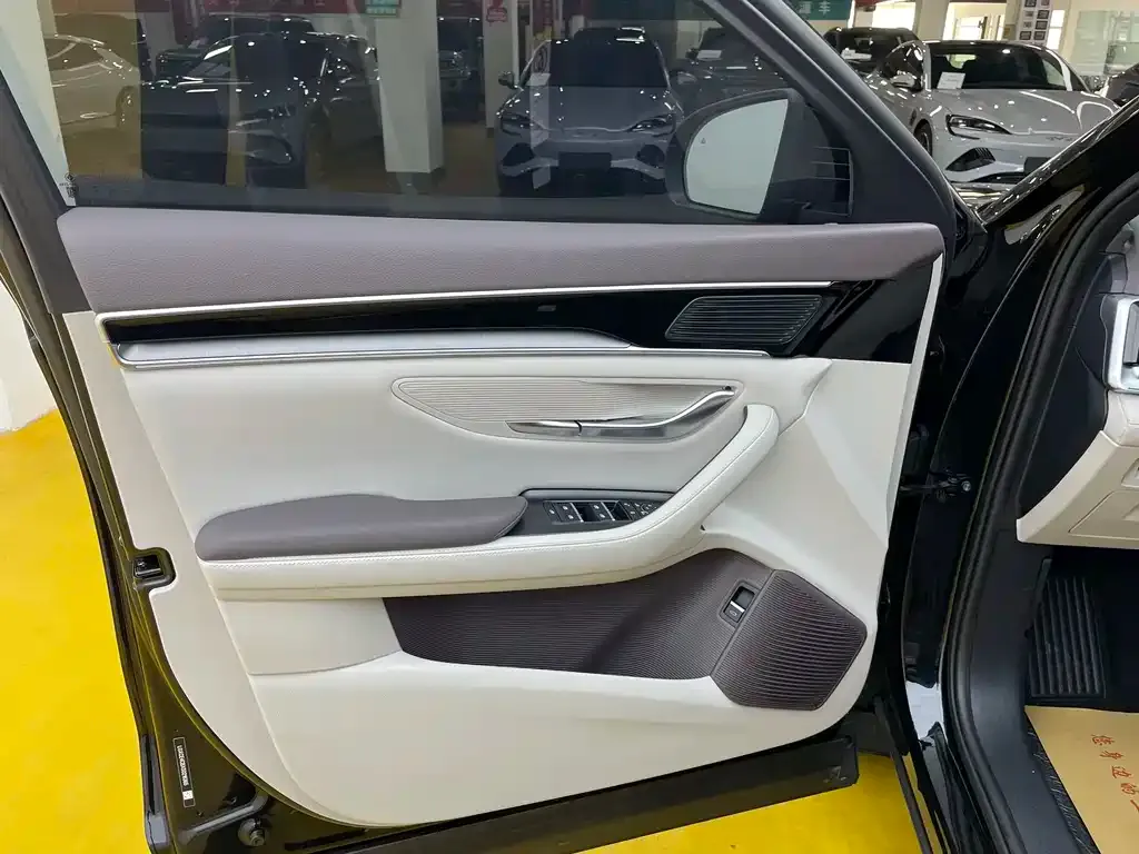BYD PLUS New Energy 2025 из CN, фото 3