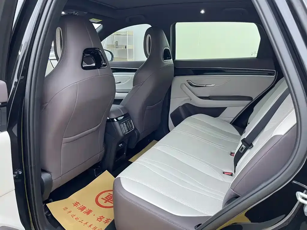 BYD PLUS New Energy 2025 из CN, фото 5