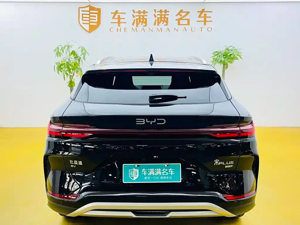BYD PLUS New Energy 2025 из CN, фото 9