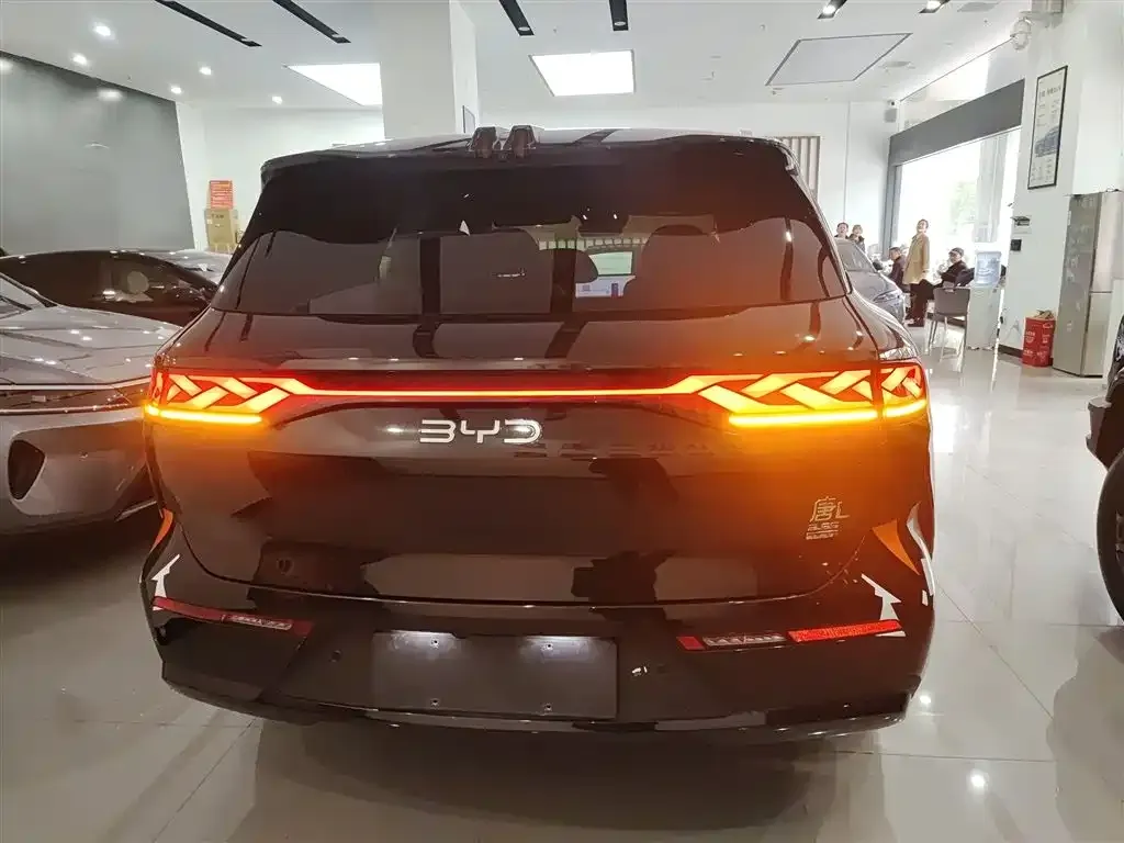 BYD Tang L 2025 из CN, фото 6