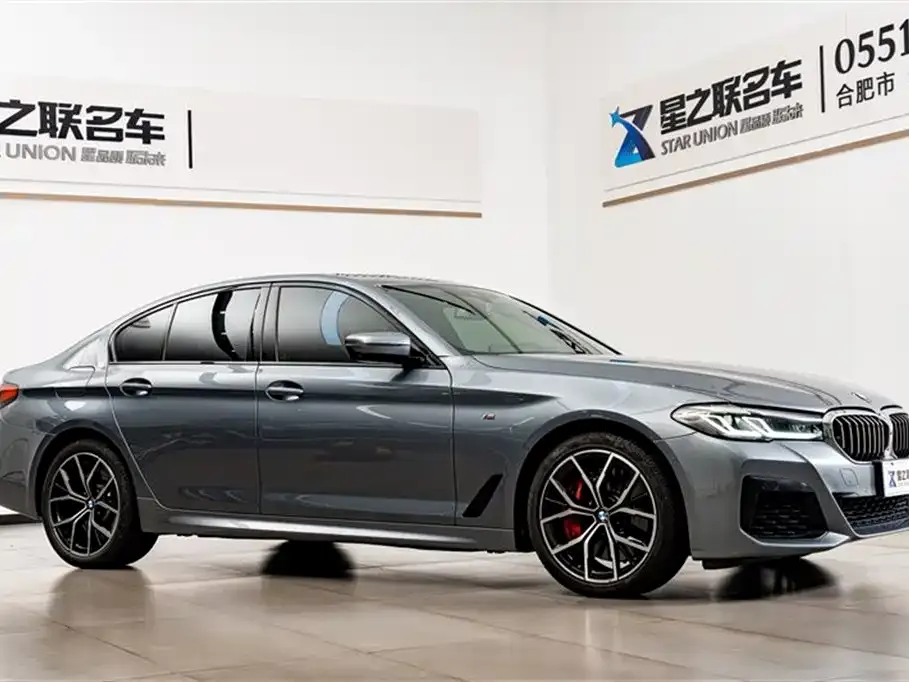 BMW 5 Series (Import) 2022 из CN, фото 6