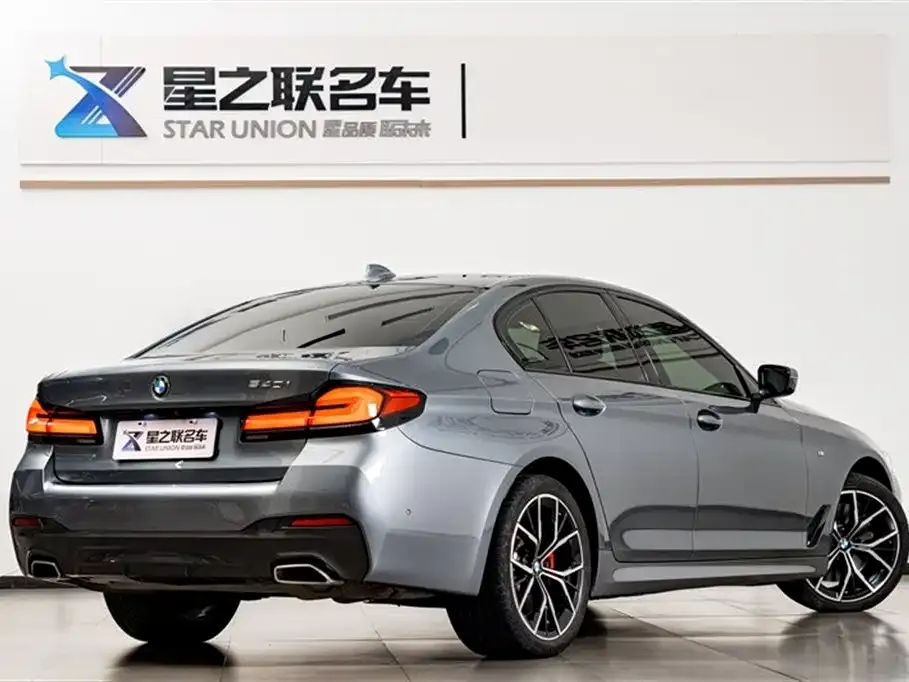 BMW 5 Series (Import) 2022 из CN, фото 7