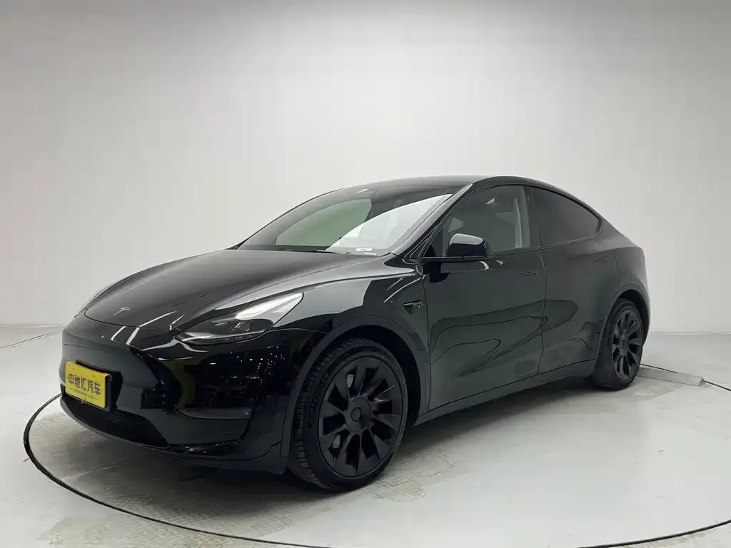 Tesla Model Y 2021 из CN, фото 1