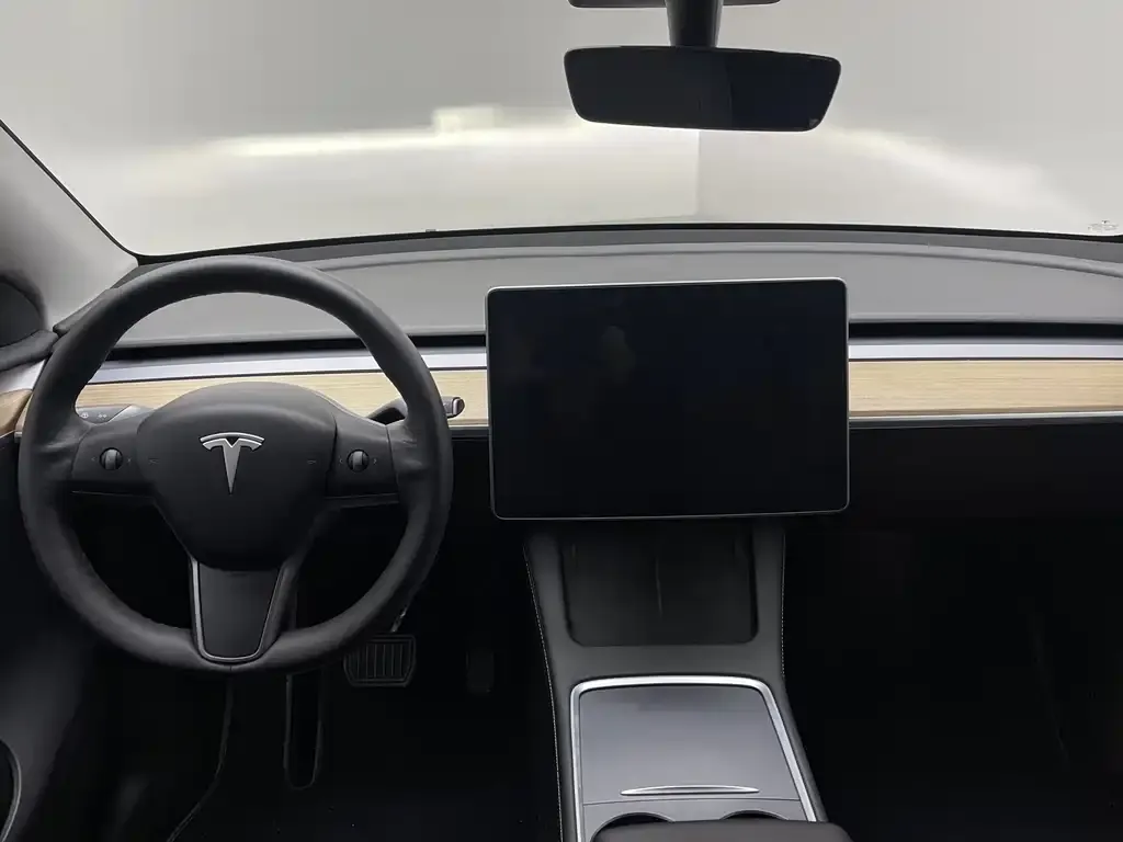 Tesla Model Y 2021 из CN, фото 10