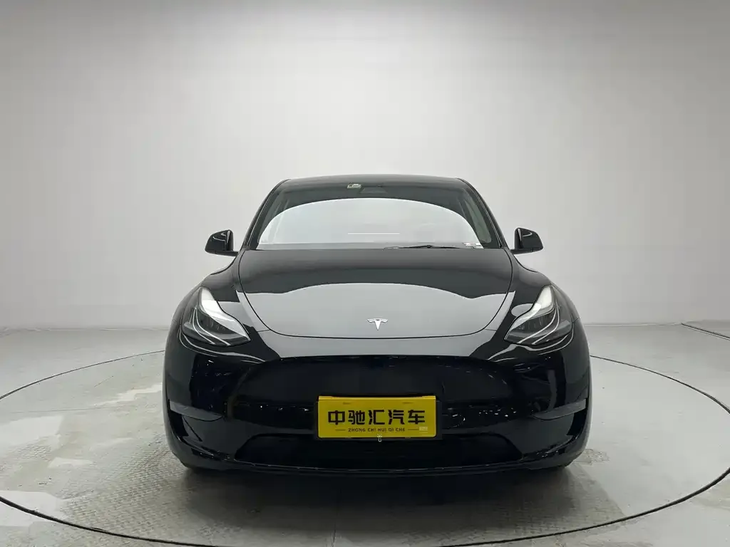 Tesla Model Y 2021 из CN, фото 2