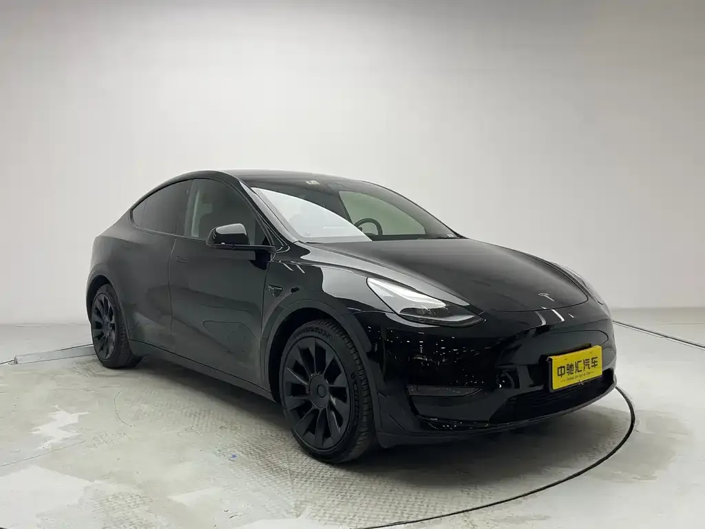 Tesla Model Y 2021 из CN, фото 3