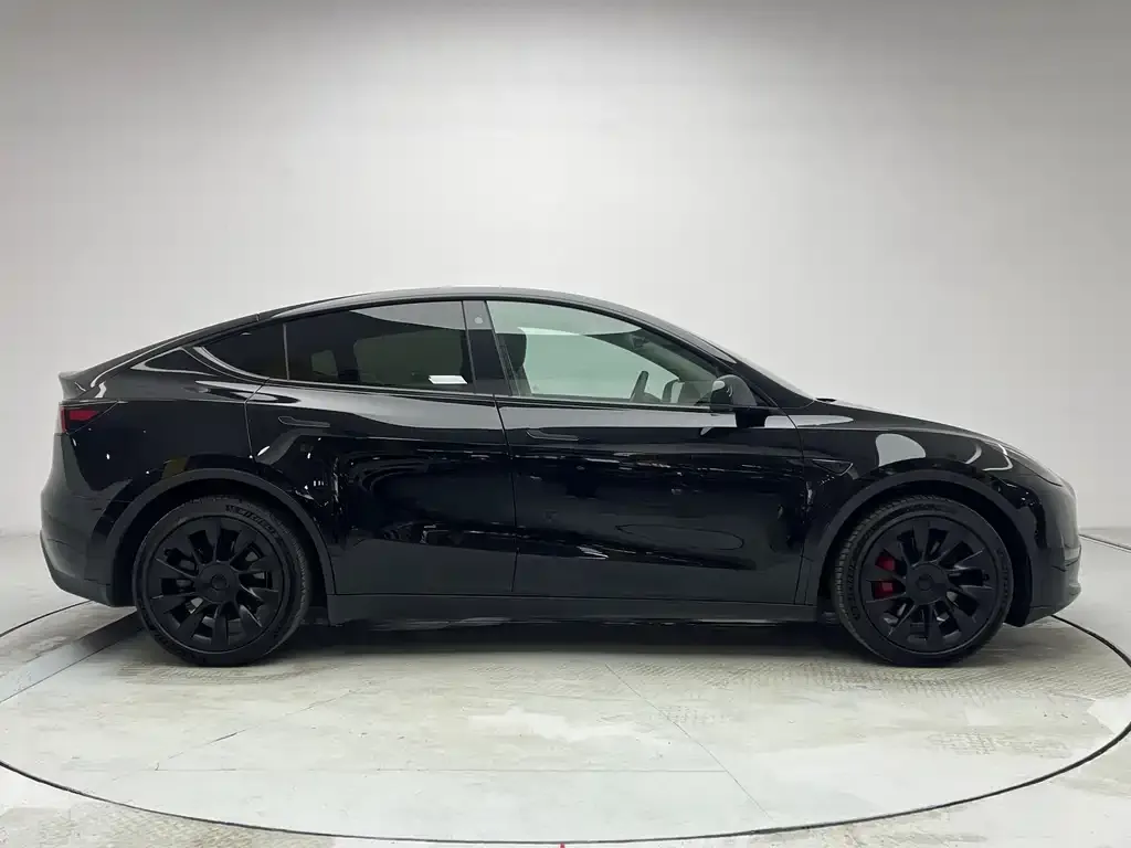 Tesla Model Y 2021 из CN, фото 4