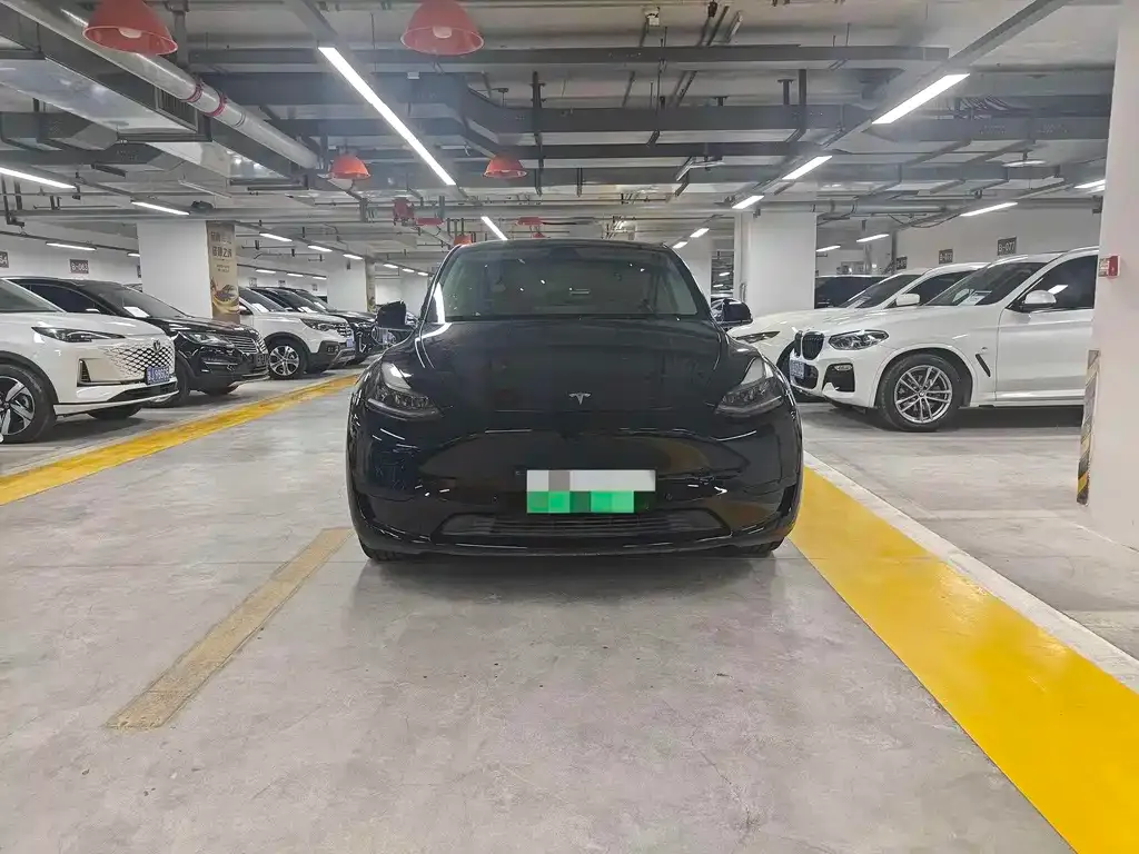Tesla Model Y — фото 2