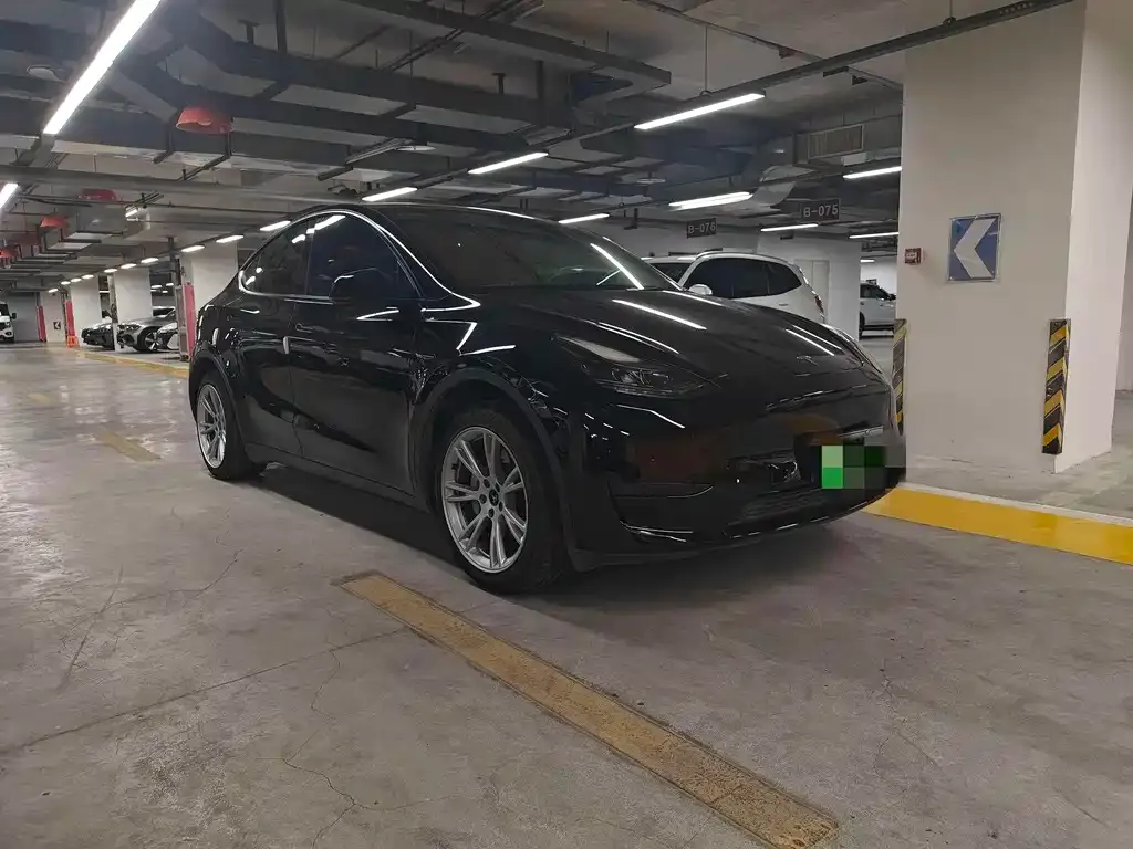 Tesla Model Y — фото 3