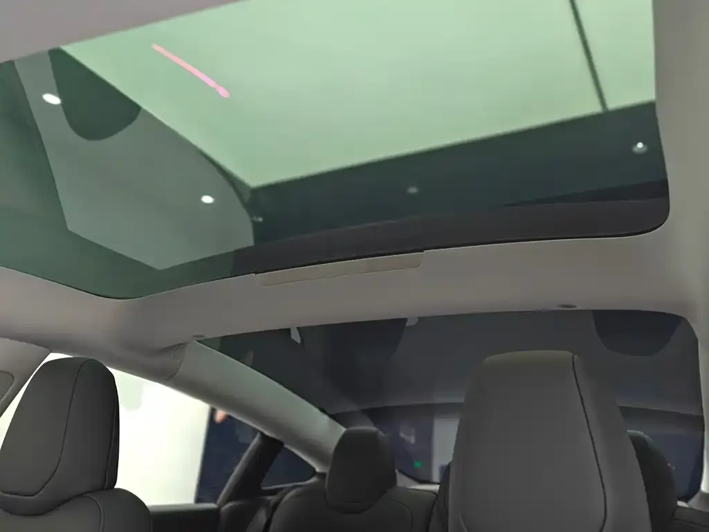 Tesla Model 3 2025 из CN, фото 5