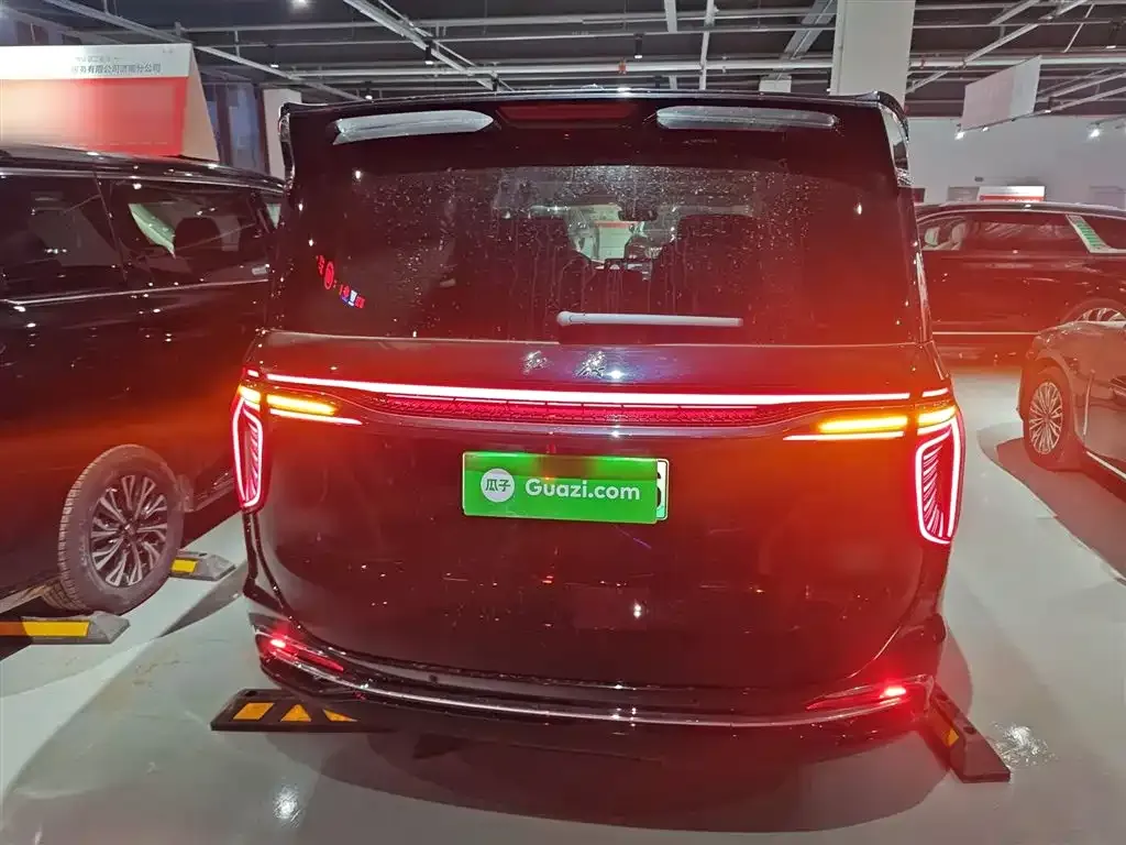 Hongqi HQ9 PHEV 2024 из CN, фото 6