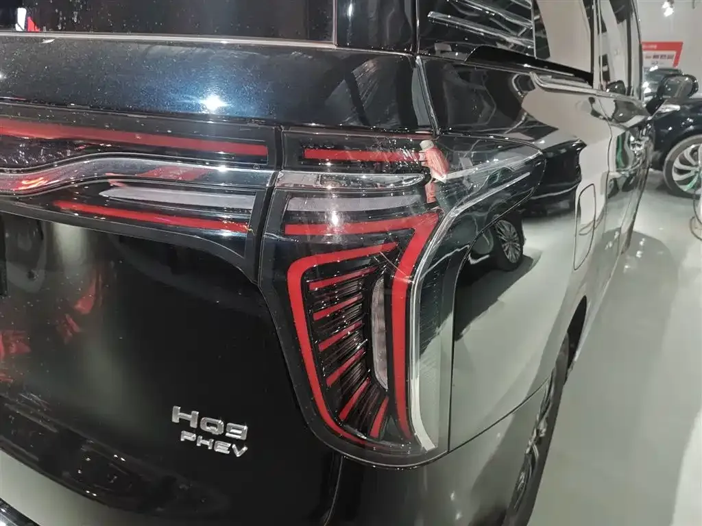 Hongqi HQ9 PHEV 2024 из CN, фото 8
