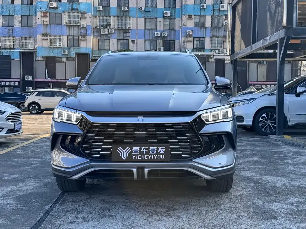 BYD Pro New Energy 2024 из CN, фото 2