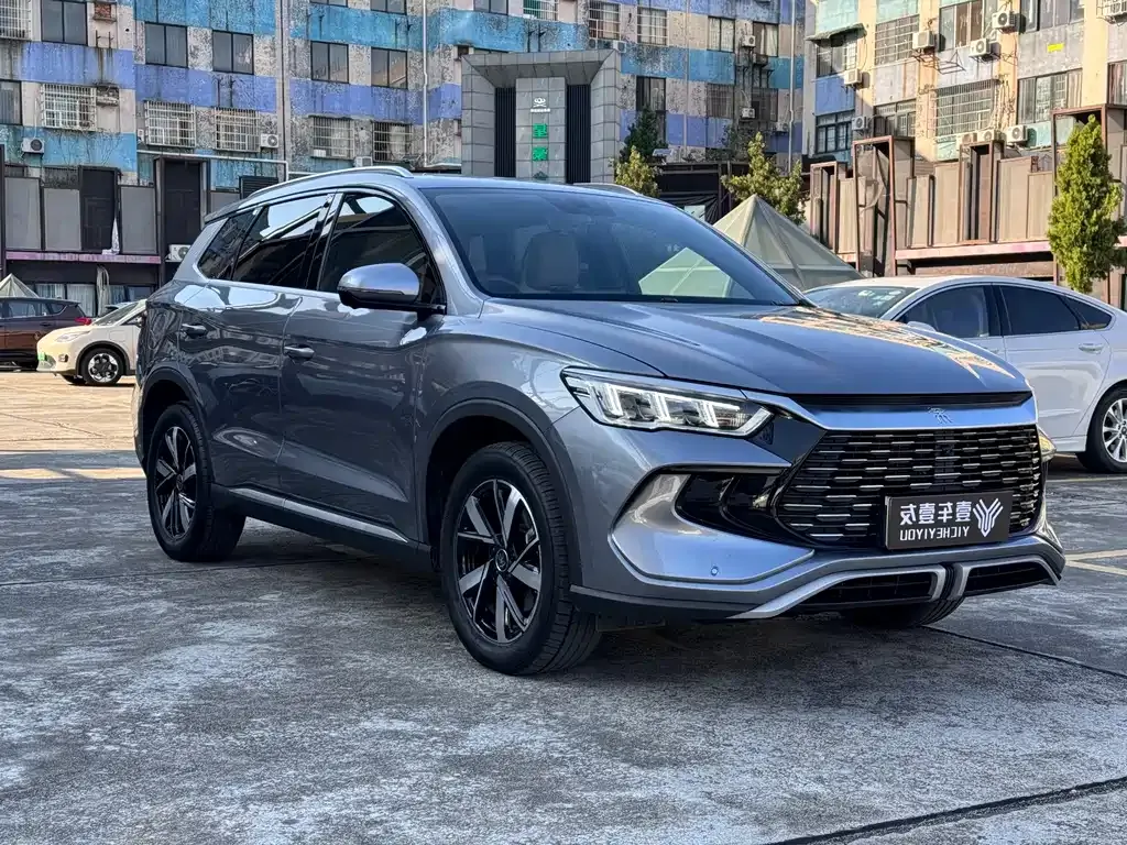 BYD Pro New Energy 2024 из CN, фото 3