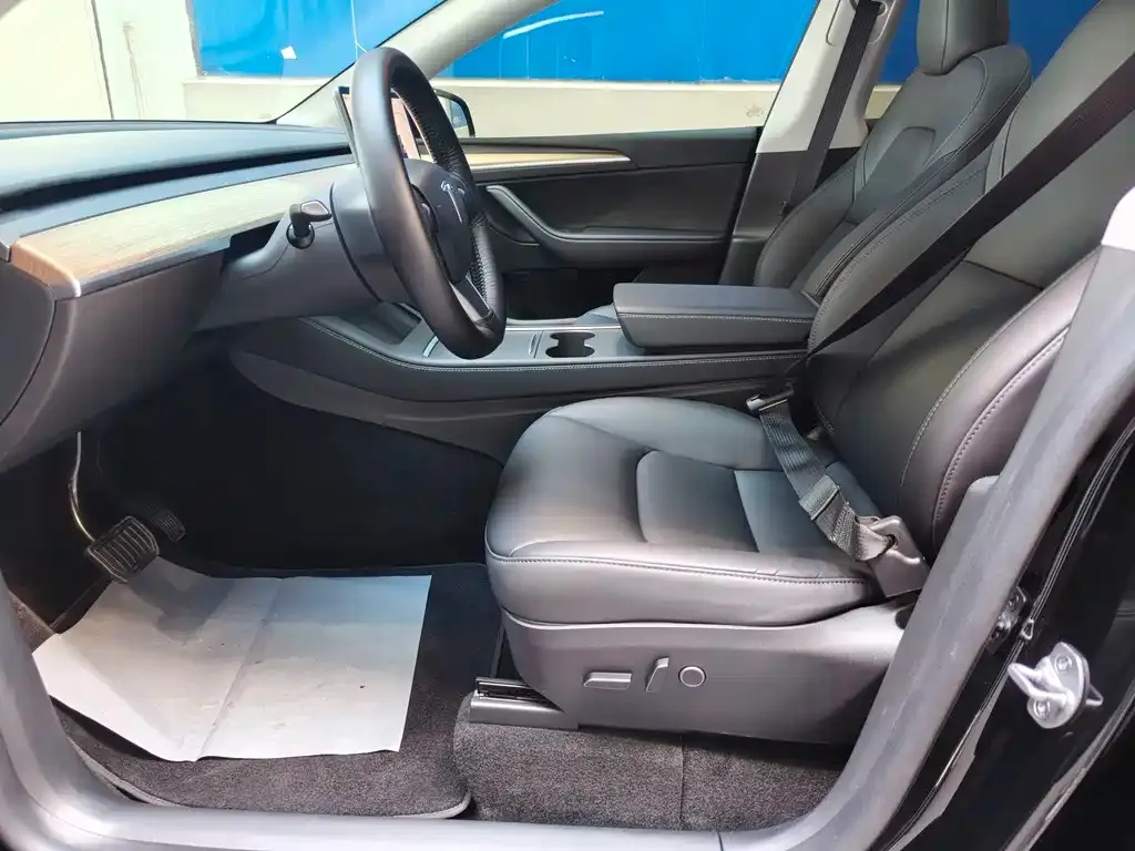 Tesla Model Y 2023 из CN, фото 8
