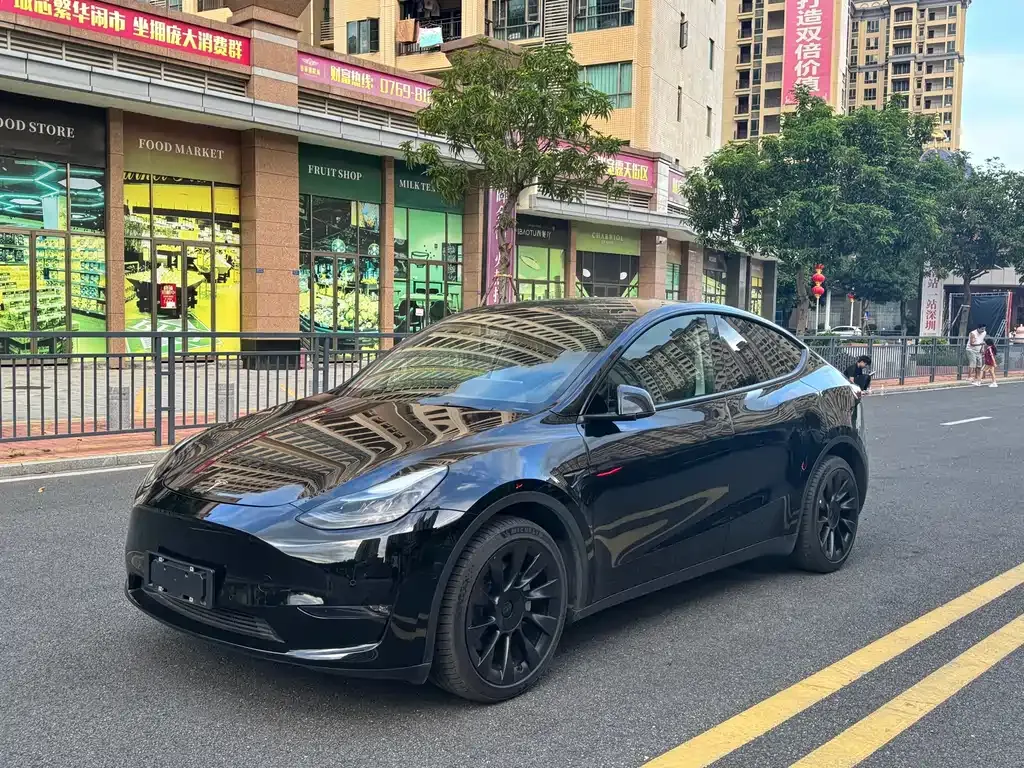 Tesla Model Y 2021 из CN, фото 1