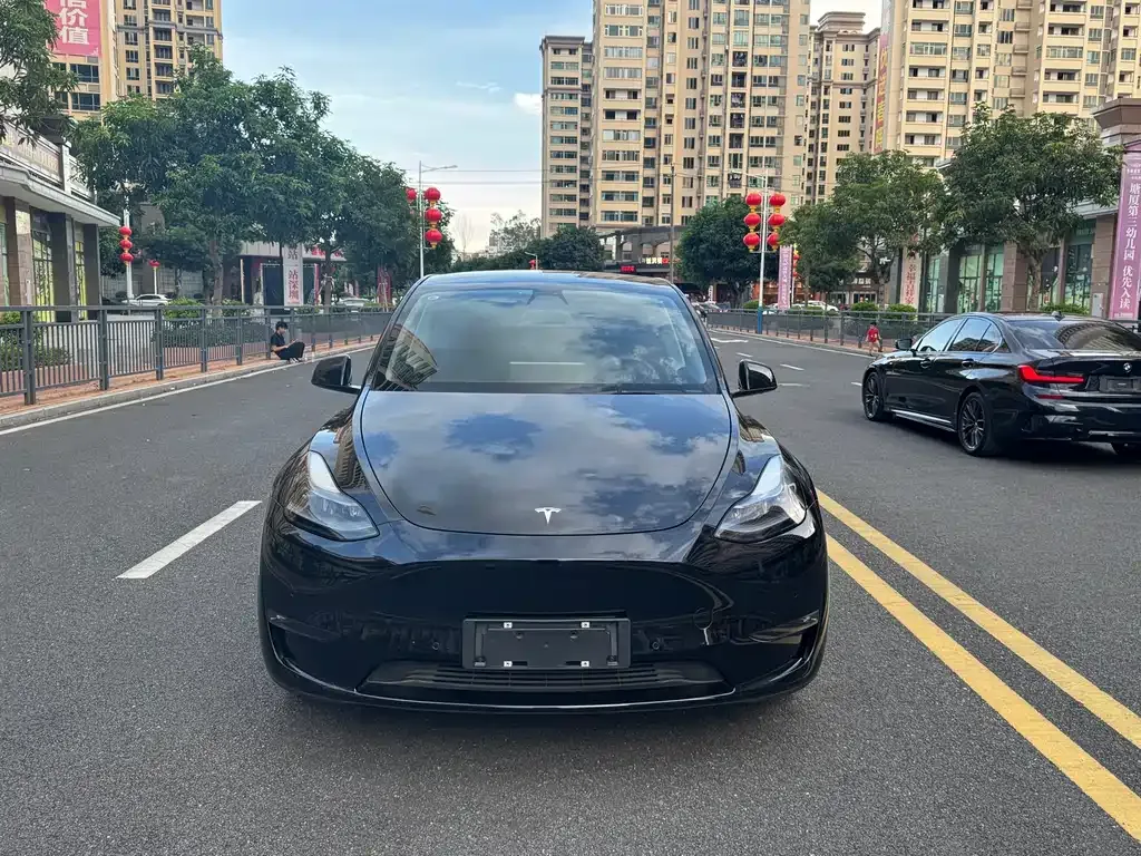 Tesla Model Y 2021 из CN, фото 2
