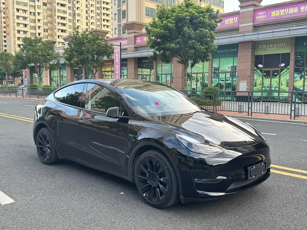 Tesla Model Y 2021 из CN, фото 3