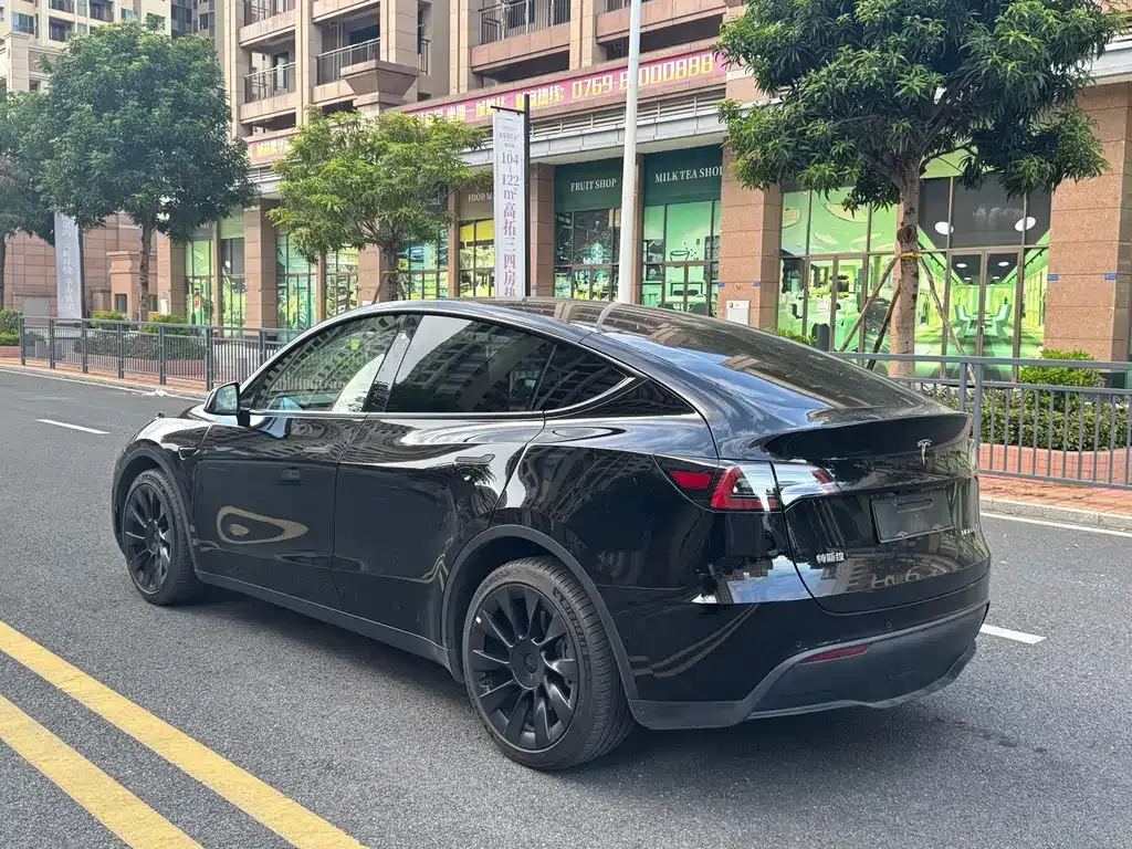 Tesla Model Y 2021 из CN, фото 4