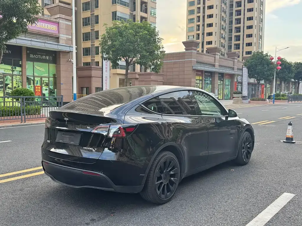 Tesla Model Y 2021 из CN, фото 5