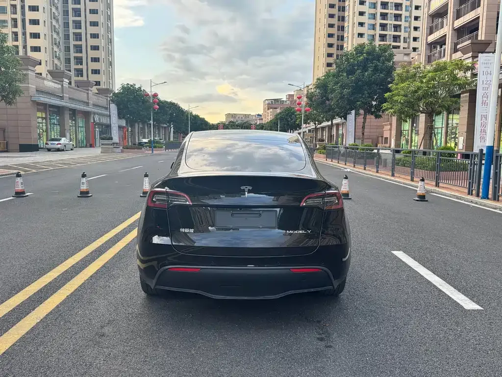 Tesla Model Y 2021 из CN, фото 6