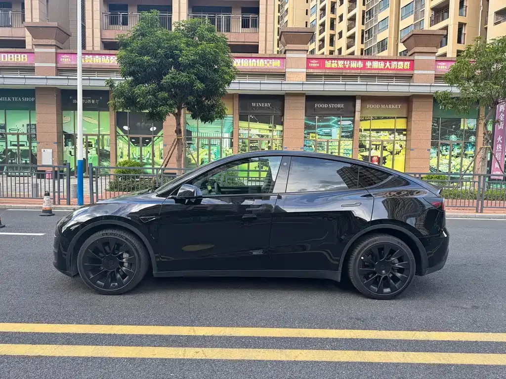 Tesla Model Y 2021 из CN, фото 7