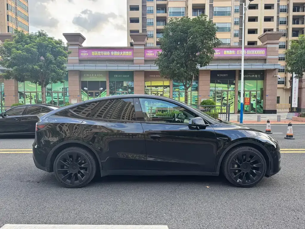 Tesla Model Y 2021 из CN, фото 8