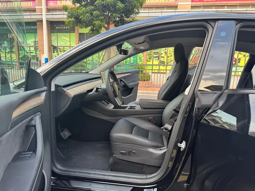 Tesla Model Y 2021 из CN, фото 9