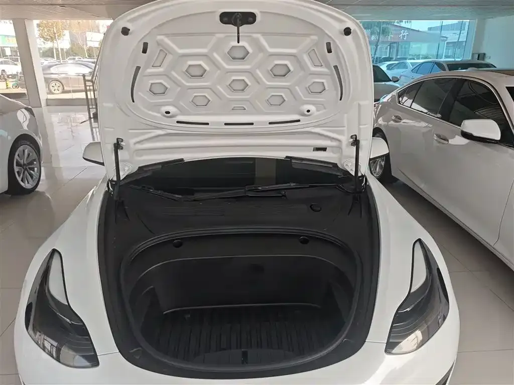Tesla Model 3 2021 из CN, фото 10