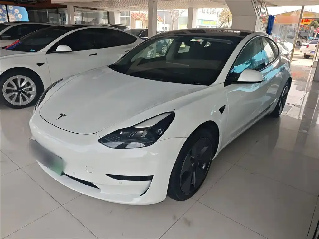 Tesla Model 3 2021 из CN, фото 2