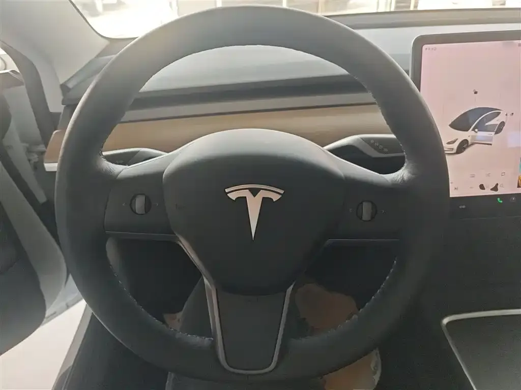 Tesla Model 3 2021 из CN, фото 3