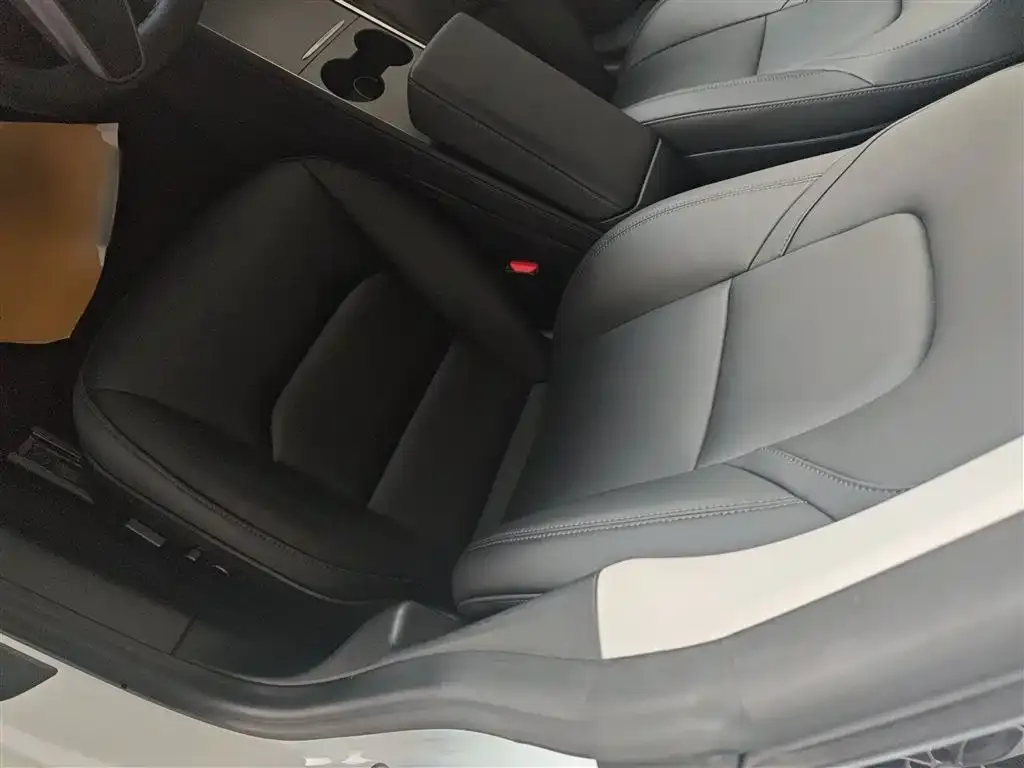 Tesla Model 3 2021 из CN, фото 7