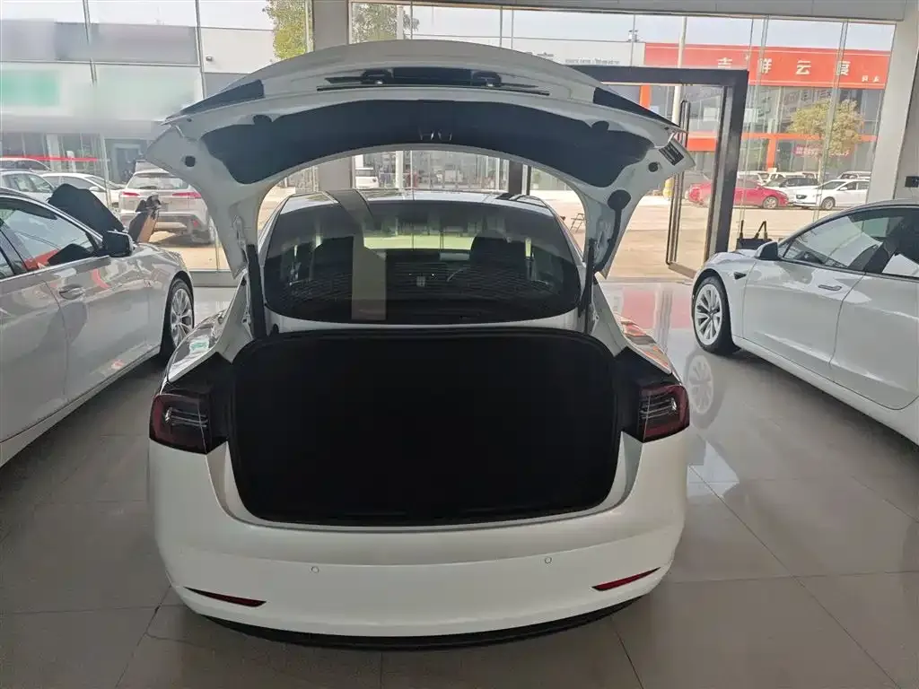 Tesla Model 3 2021 из CN, фото 9