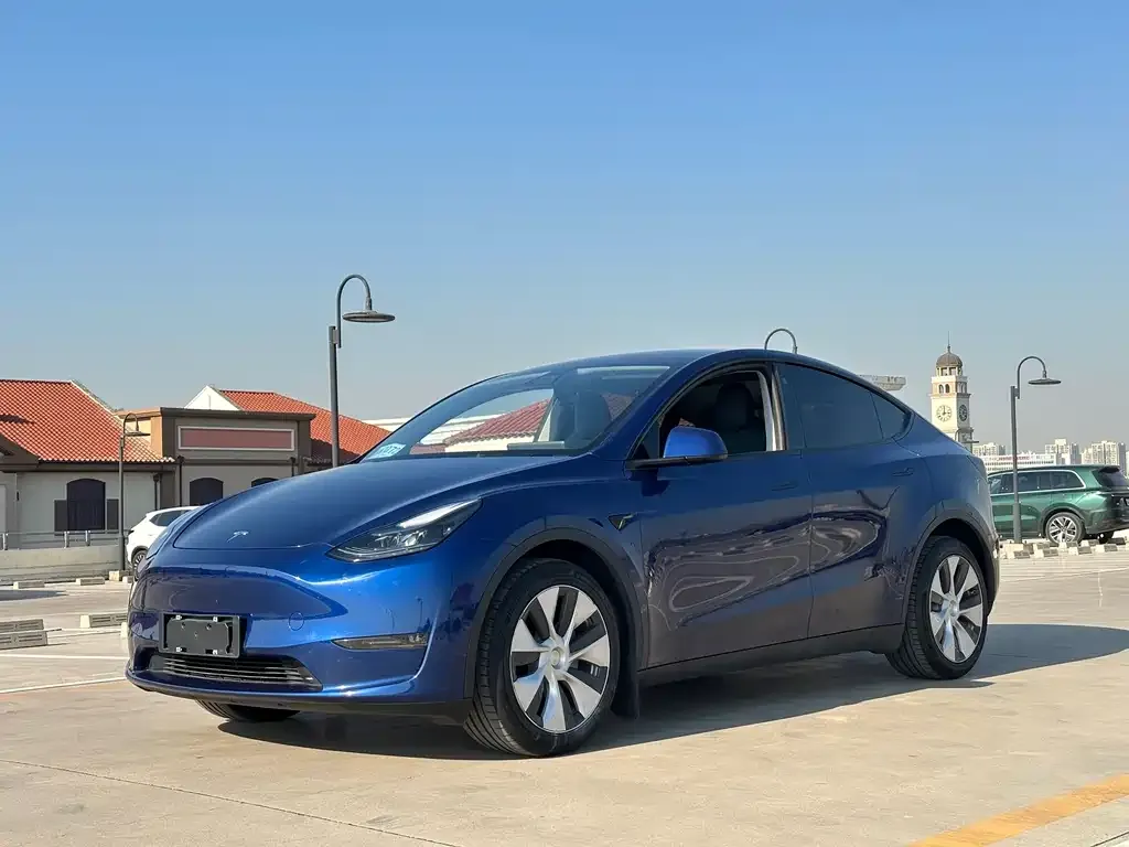 Tesla Model Y 2021 из CN, фото 1