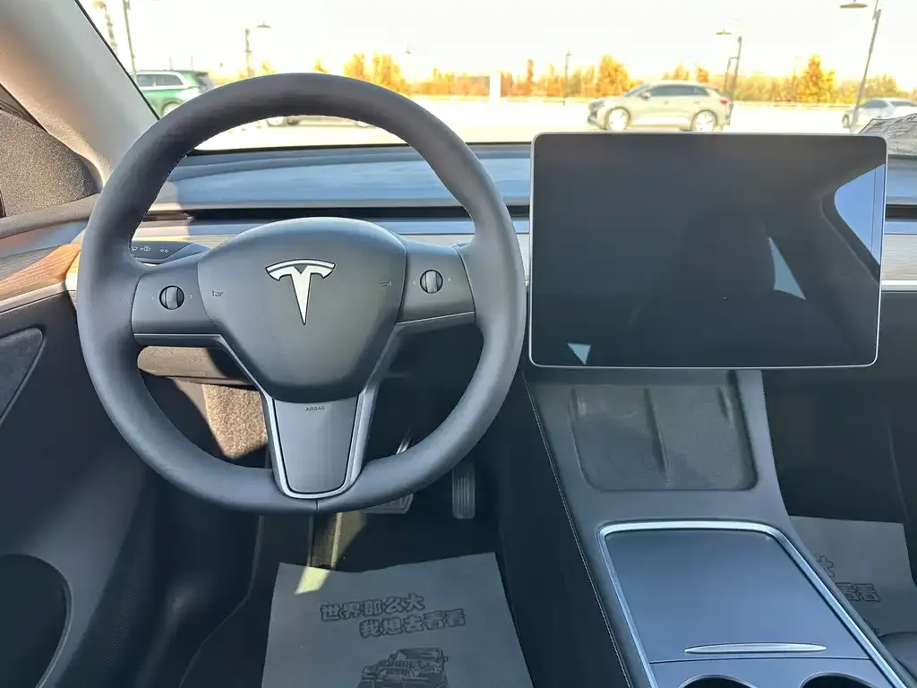 Tesla Model Y 2021 из CN, фото 10