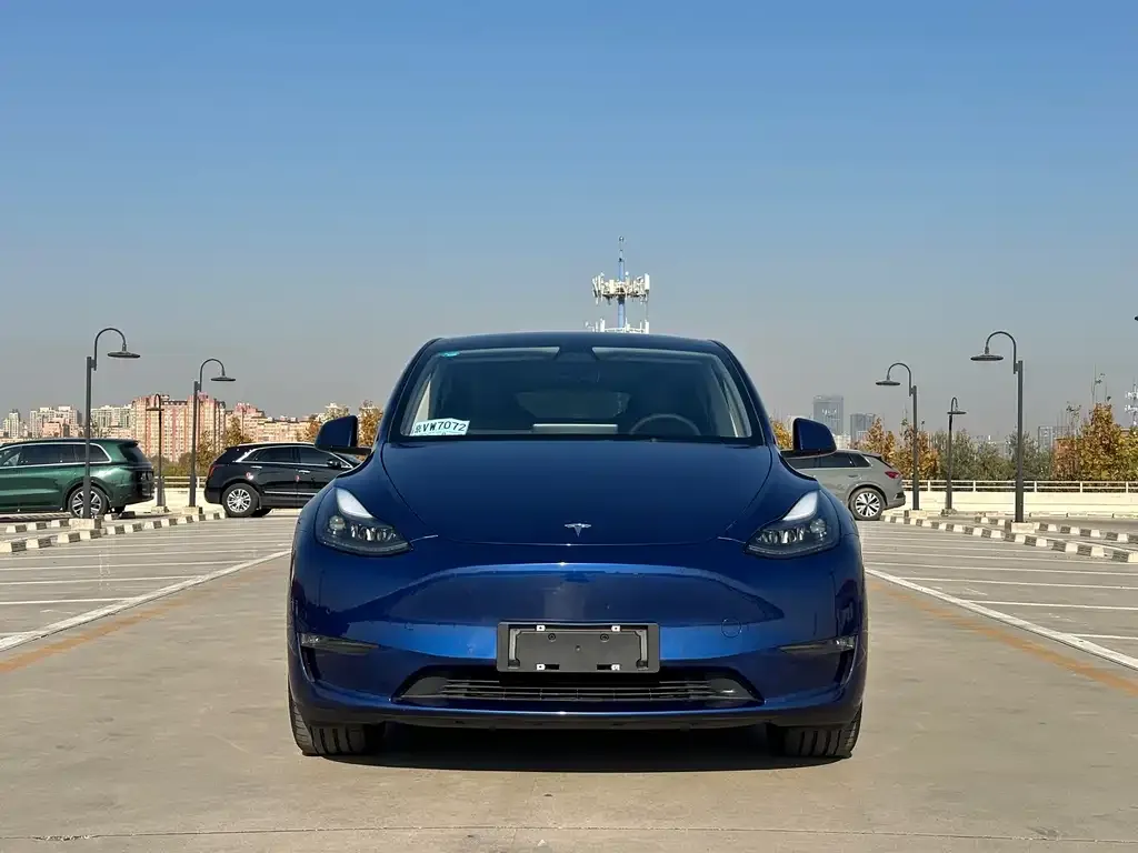 Tesla Model Y 2021 из CN, фото 2
