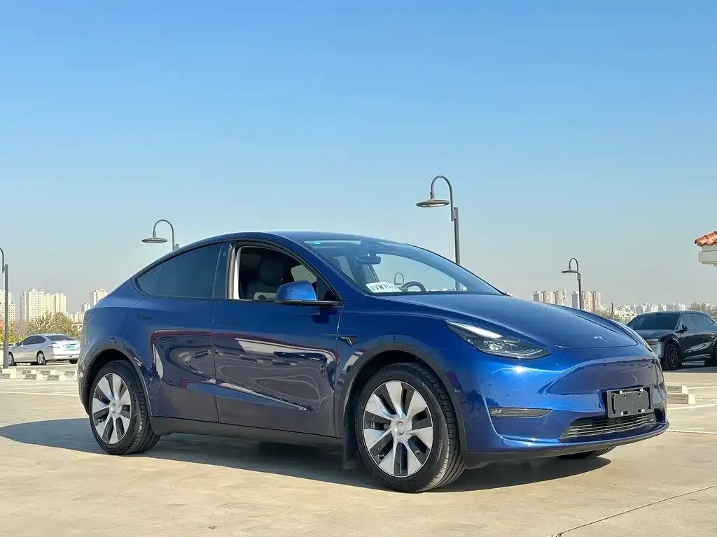 Tesla Model Y 2021 из CN, фото 3